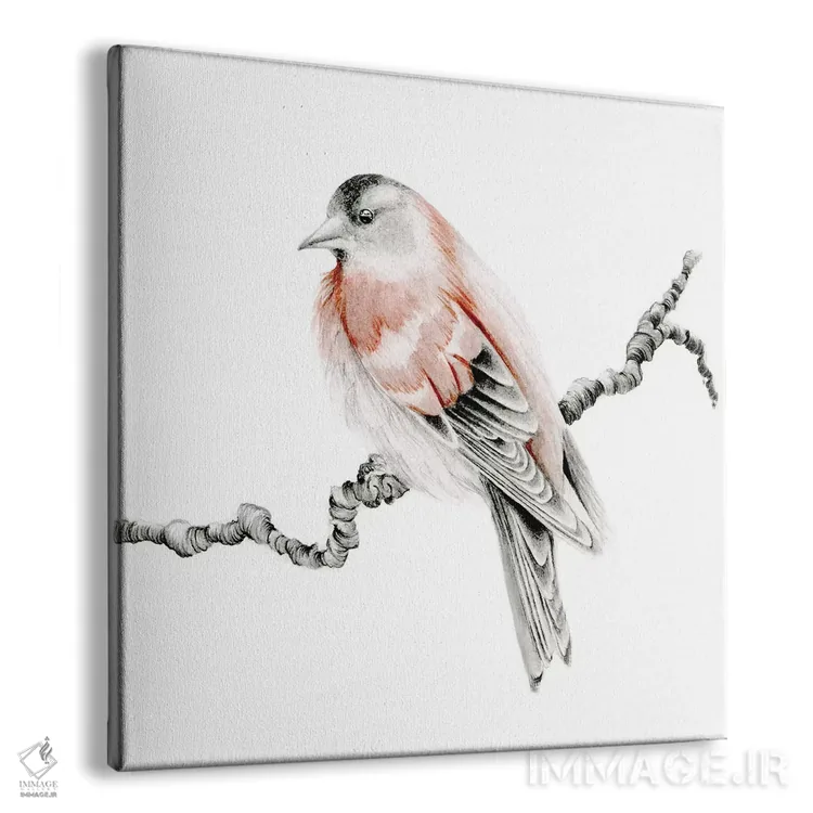 تابلو دکوراتیو پرنده قرمز اثر جوانا هابر - نمای پرسپکتیو محصول