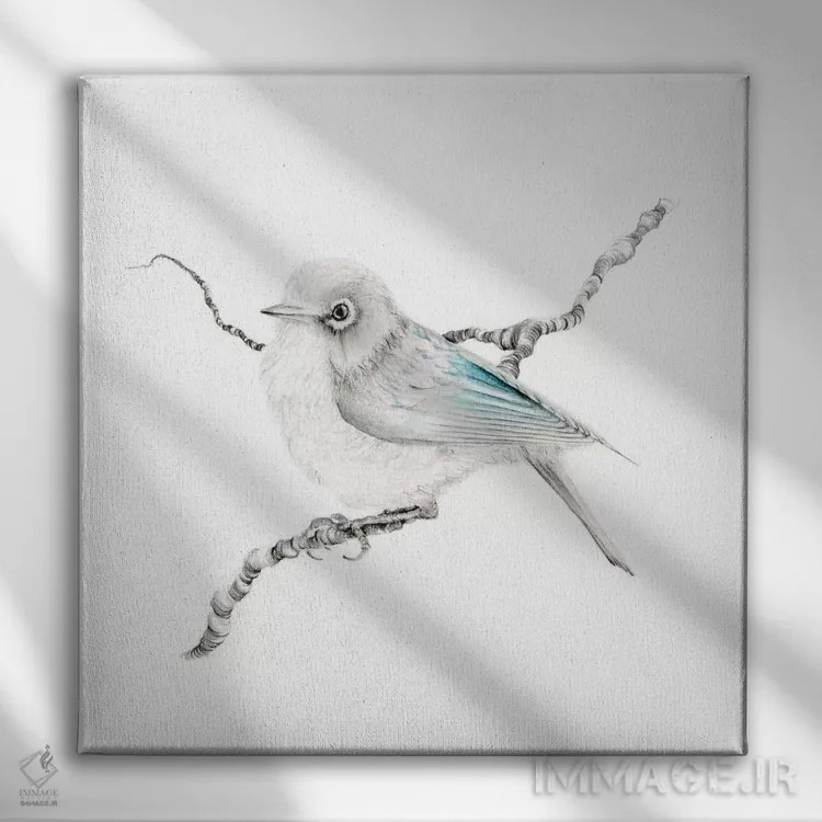 تابلو دکوراتیو فنچ فیروزه ای کوچک اثر جوانا هابر - نمای روبهرو روی دیوار