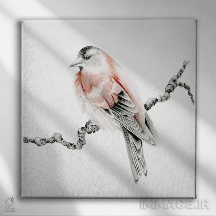 تابلو دکوراتیو پرنده قرمز اثر جوانا هابر - نمای روبهرو روی دیوار