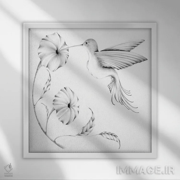 تابلو دکوراتیو مرغ مگس خوار II اثر جوانا هابر - نمای قابدار سفید