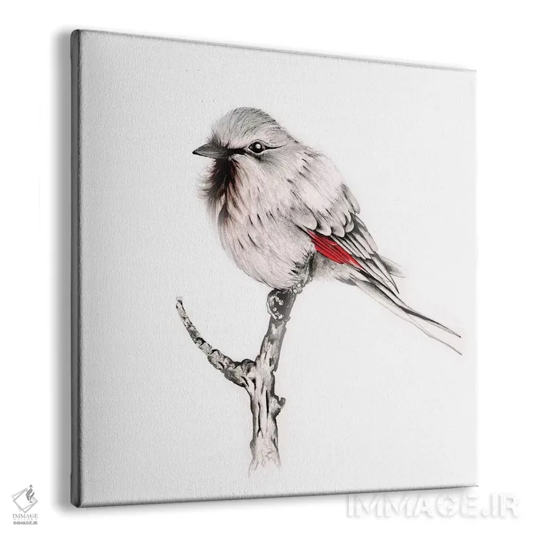 تابلو دکوراتیو پرنده دانا اثر جوانا هابر - نمای پرسپکتیو محصول