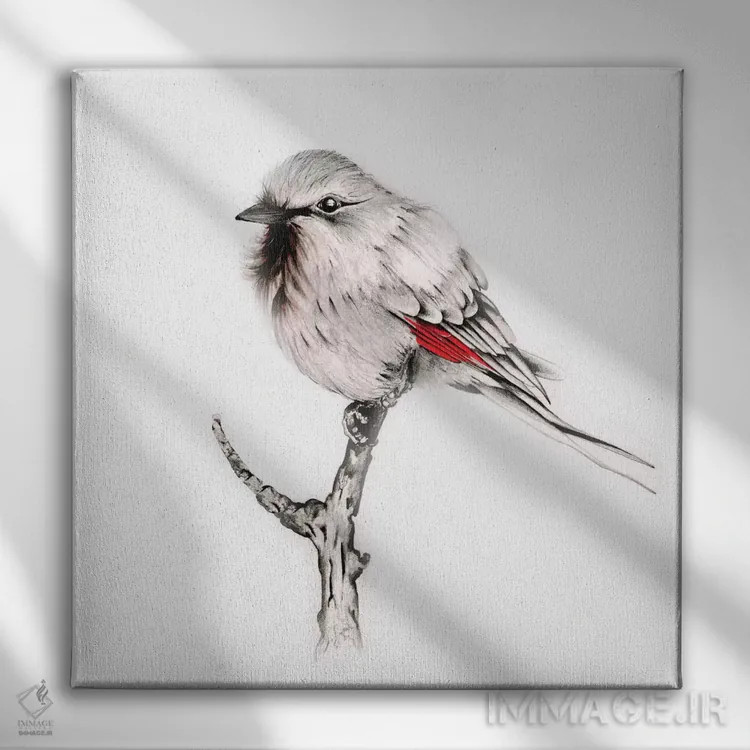 تابلو دکوراتیو پرنده دانا اثر جوانا هابر - نمای روبهرو روی دیوار