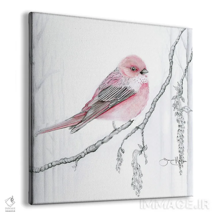 تابلو دکوراتیو فنچ رز اثر جوانا هابر - نمای پرسپکتیو محصول