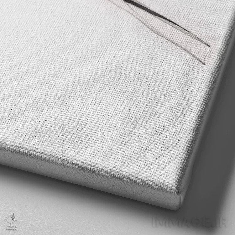 تابلو دکوراتیو پرنده دانا اثر جوانا هابر - نمای نزدیک بافت بوم