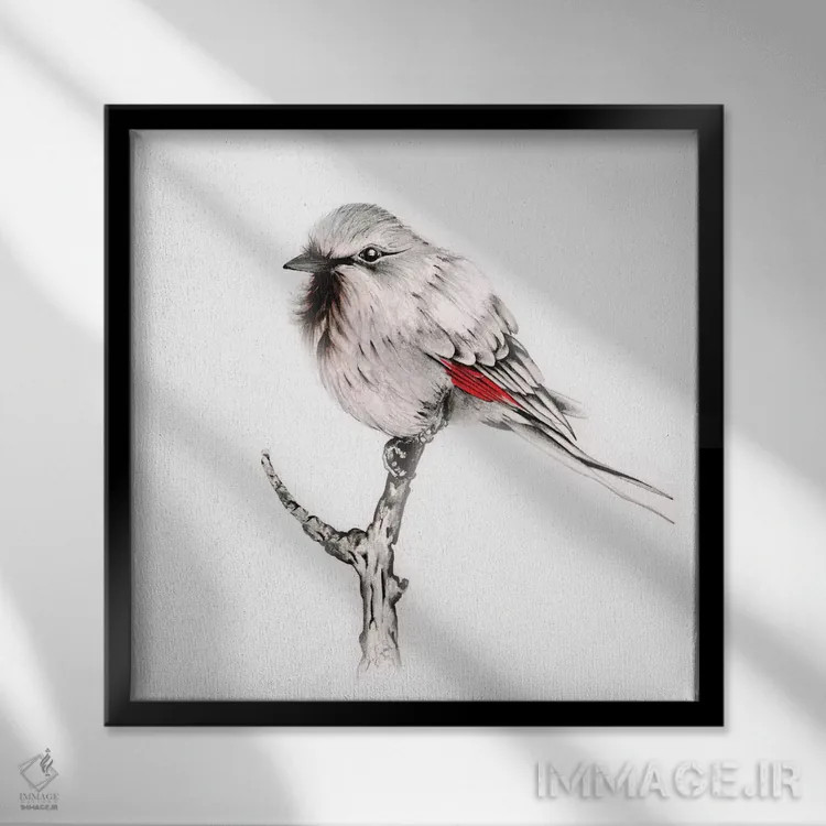 تابلو دکوراتیو پرنده دانا اثر جوانا هابر - نمای قابدار مشکی