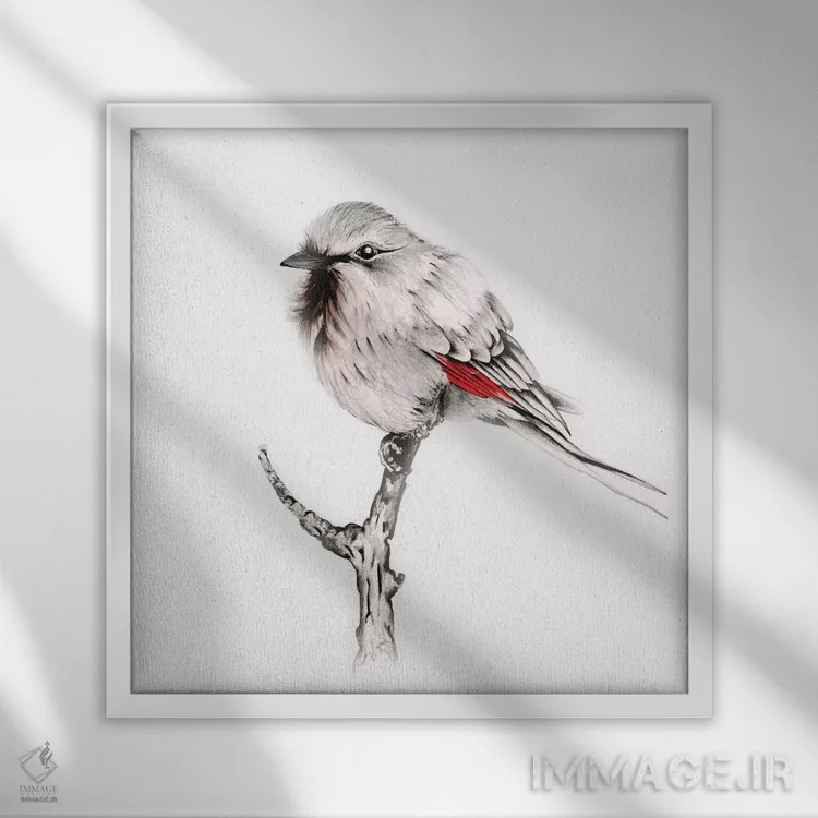 تابلو دکوراتیو پرنده دانا اثر جوانا هابر - نمای قابدار سفید