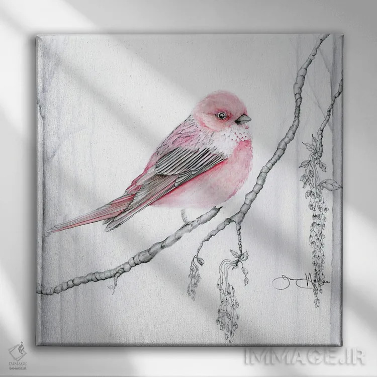 تابلو دکوراتیو فنچ رز اثر جوانا هابر - نمای روبهرو روی دیوار