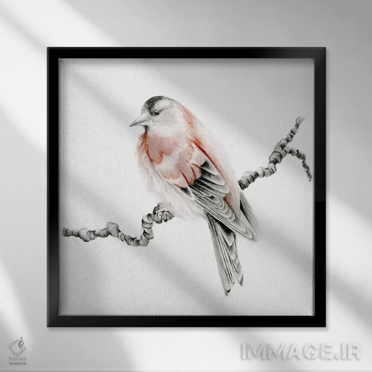 تابلو دکوراتیو پرنده قرمز اثر جوانا هابر - نمای قابدار مشکی