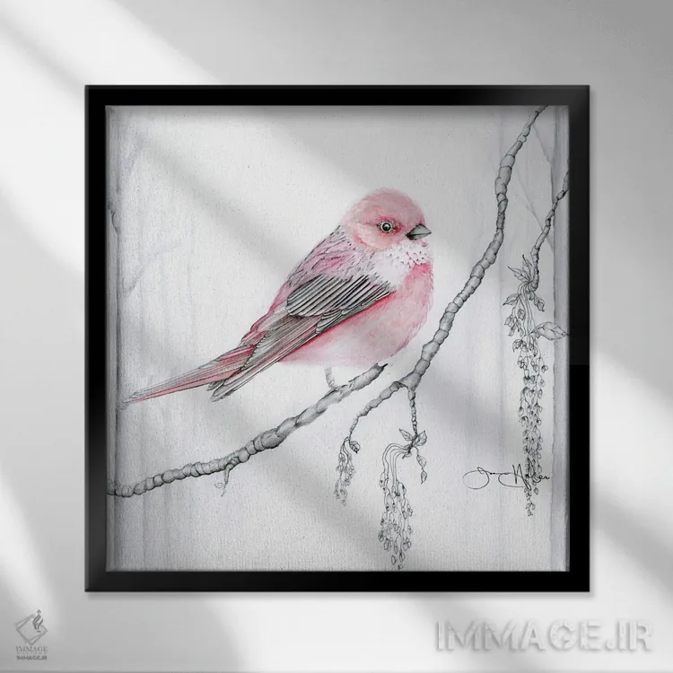 تابلو دکوراتیو فنچ رز اثر جوانا هابر - نمای قابدار مشکی