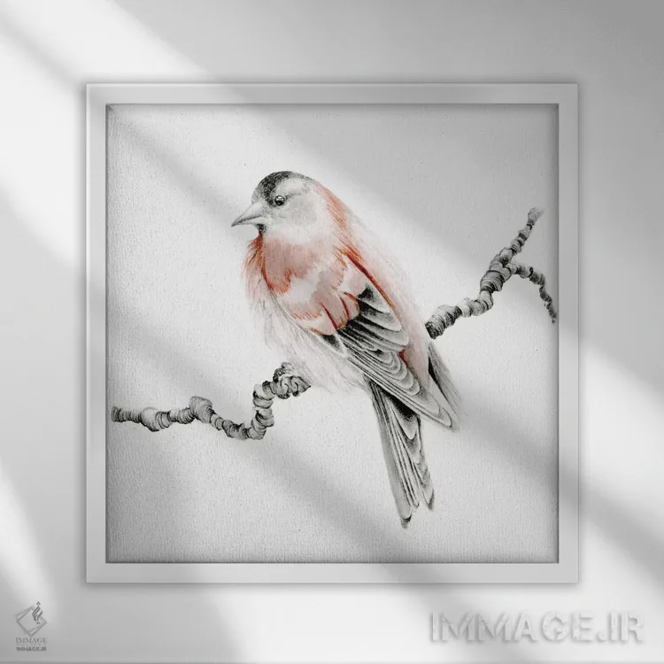 تابلو دکوراتیو پرنده قرمز اثر جوانا هابر - نمای قابدار سفید