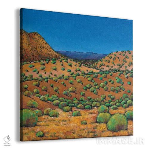 تابلو دکوراتیو عصر صحرا اثر جاناتان هریس - نمای پرسپکتیو محصول