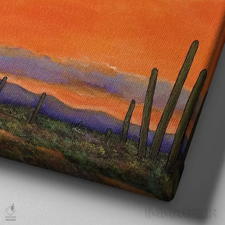 تابلو دکوراتیو غروب کاکتوس ساگوارو اثر جاناتان هریس - نمای نزدیک بافت بوم
