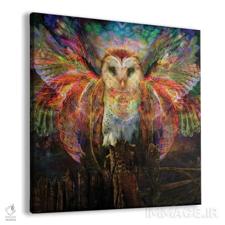 تابلو دکوراتیو جغد اثر جامبی - نمای پرسپکتیو محصول