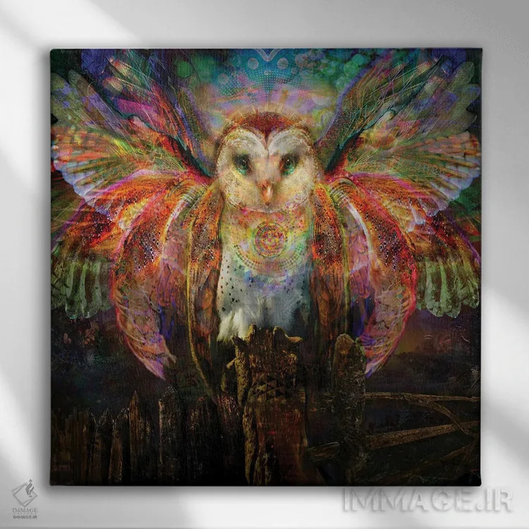 تابلو دکوراتیو جغد اثر جامبی - نمای روبهرو روی دیوار