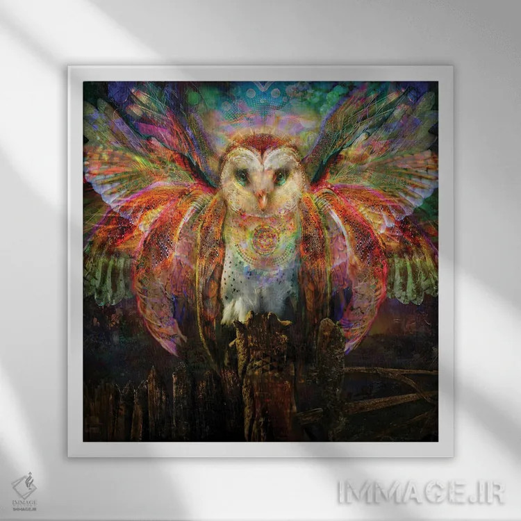 تابلو دکوراتیو جغد اثر جامبی - نمای قابدار سفید