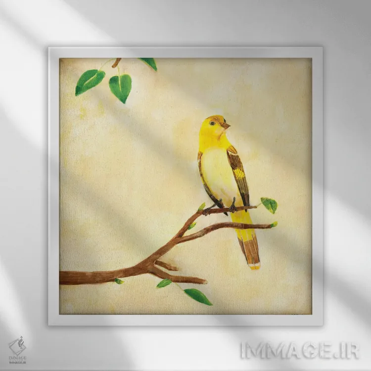 تابلو دکوراتیو آواز پرنده ۱ اثر جیل مارتین - نمای قابدار سفید