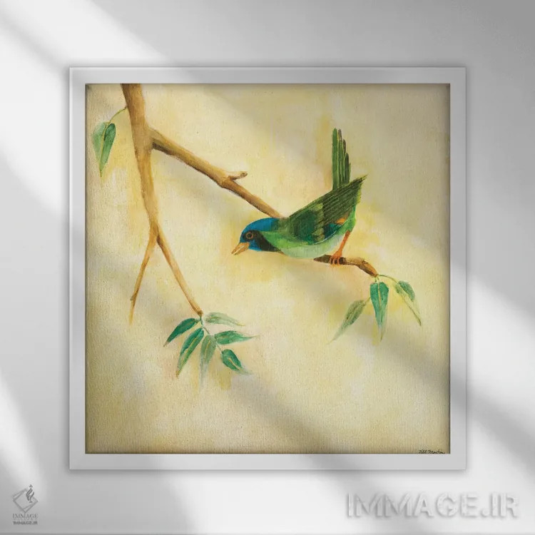 تابلو دکوراتیو آواز پرنده ۳ اثر جیل مارتین - نمای قابدار سفید