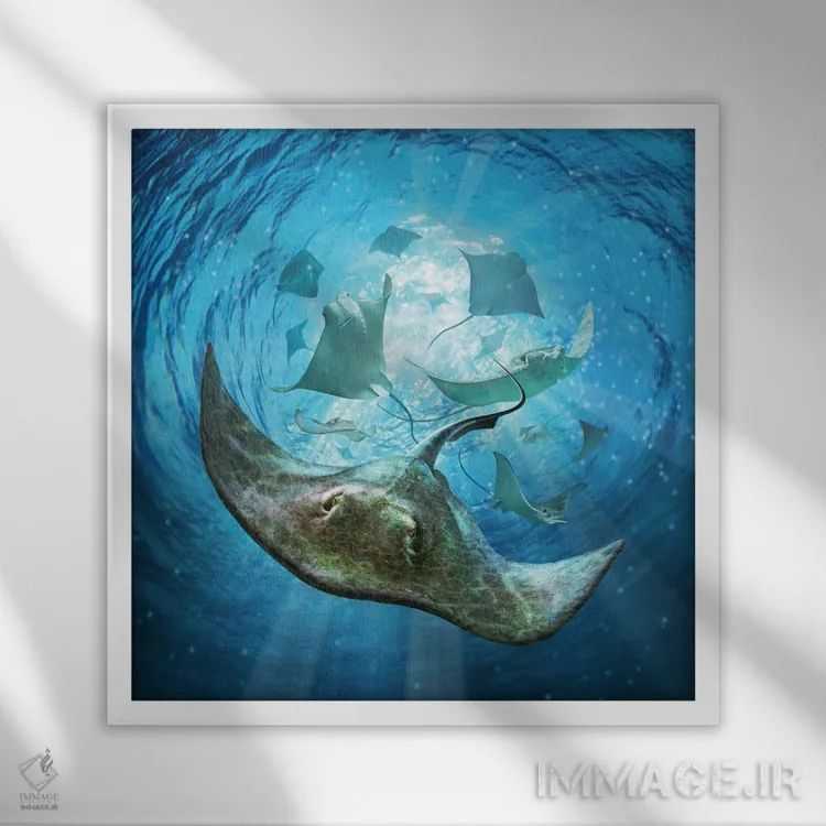 تابلو دکوراتیو مارماهیان اثر جری لوفارو - نمای قابدار سفید