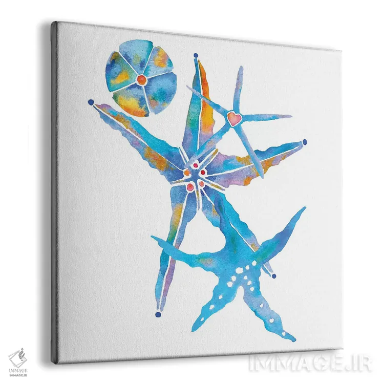 تابلو دکوراتیو سه ستاره دریایی و یک صدف شنی اثر جو لینچ - نمای پرسپکتیو محصول