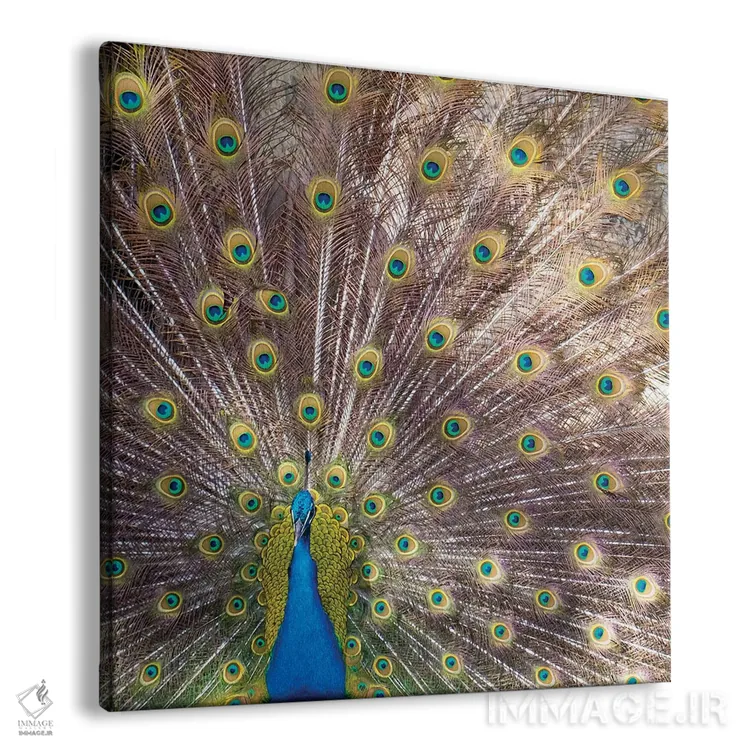 تابلو دکوراتیو Portugal Castelo Sao Jorge Peacocks Reside On The Castl… اثر ژولین مک رابرتس - نمای پرسپکتیو محصول