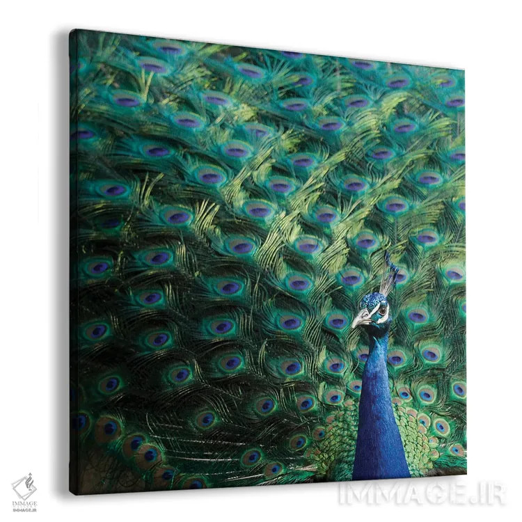 تابلو دکوراتیو Portugal Castelo Sao Jorge Peacocks Reside On The Castl… اثر ژولین مک رابرتس - نمای پرسپکتیو محصول