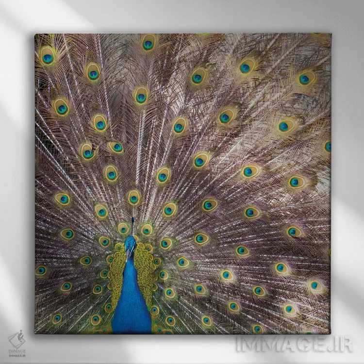 تابلو دکوراتیو Portugal Castelo Sao Jorge Peacocks Reside On The Castl… اثر ژولین مک رابرتس - نمای روبهرو روی دیوار