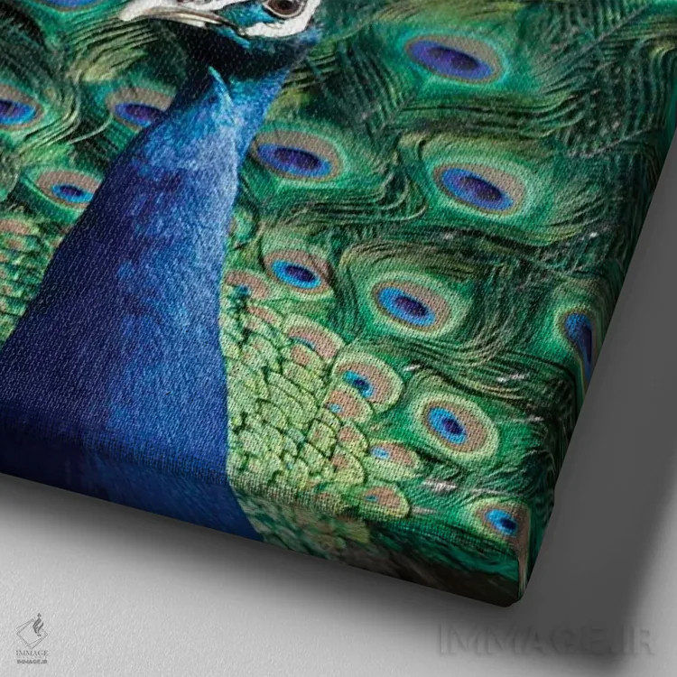 تابلو دکوراتیو Portugal Castelo Sao Jorge Peacocks Reside On The Castl… اثر ژولین مک رابرتس - نمای نزدیک بافت بوم