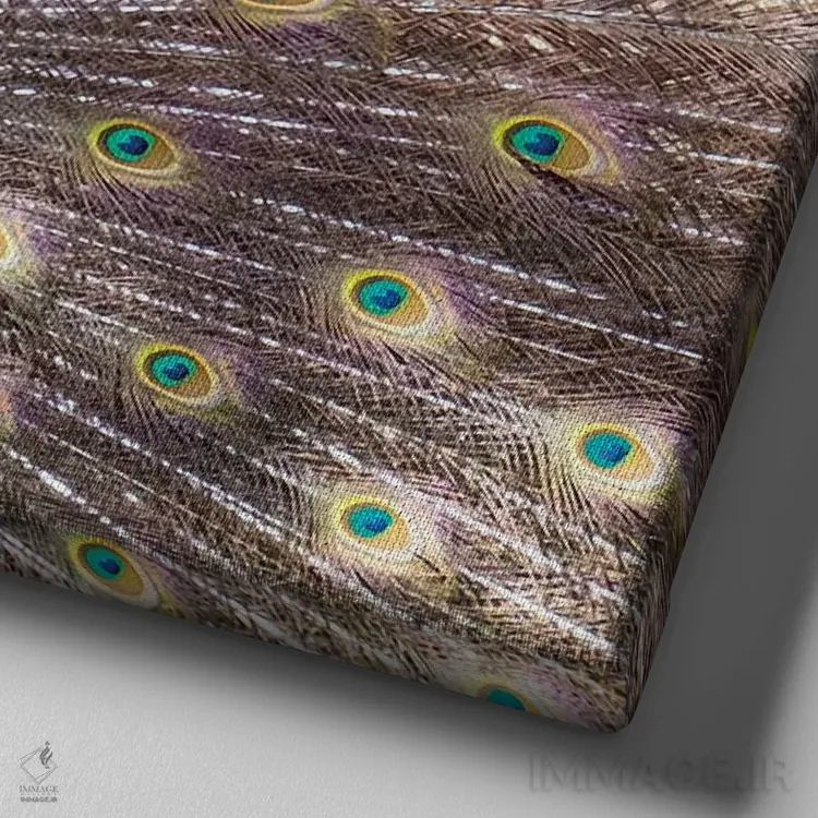 تابلو دکوراتیو Portugal Castelo Sao Jorge Peacocks Reside On The Castl… اثر ژولین مک رابرتس - نمای نزدیک بافت بوم