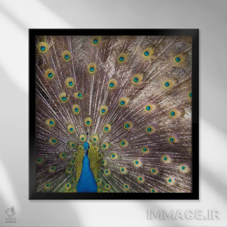 تابلو دکوراتیو Portugal Castelo Sao Jorge Peacocks Reside On The Castl… اثر ژولین مک رابرتس - نمای قابدار مشکی
