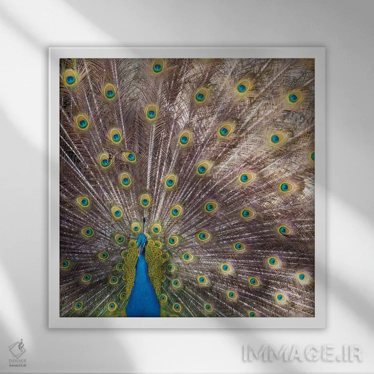 تابلو دکوراتیو Portugal Castelo Sao Jorge Peacocks Reside On The Castl… اثر ژولین مک رابرتس - نمای قابدار سفید