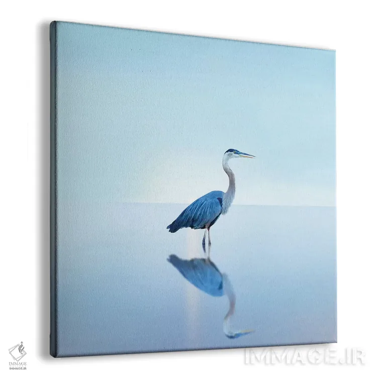 تابلو دکوراتیو منظره ساحلی با مرغ ماهی خوار II اثر جیمز مک لافلین - نمای پرسپکتیو محصول