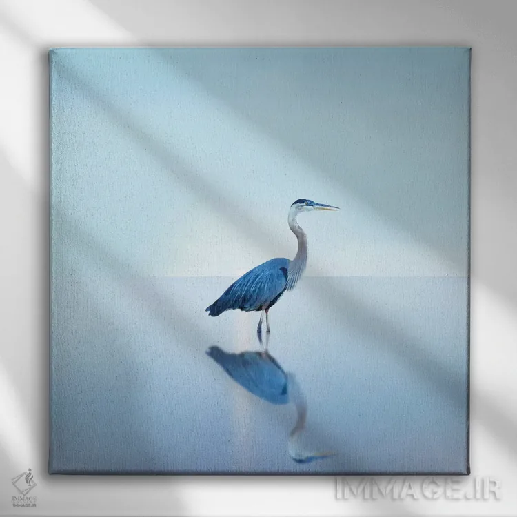 تابلو دکوراتیو منظره ساحلی با مرغ ماهی خوار II اثر جیمز مک لافلین - نمای روبهرو روی دیوار