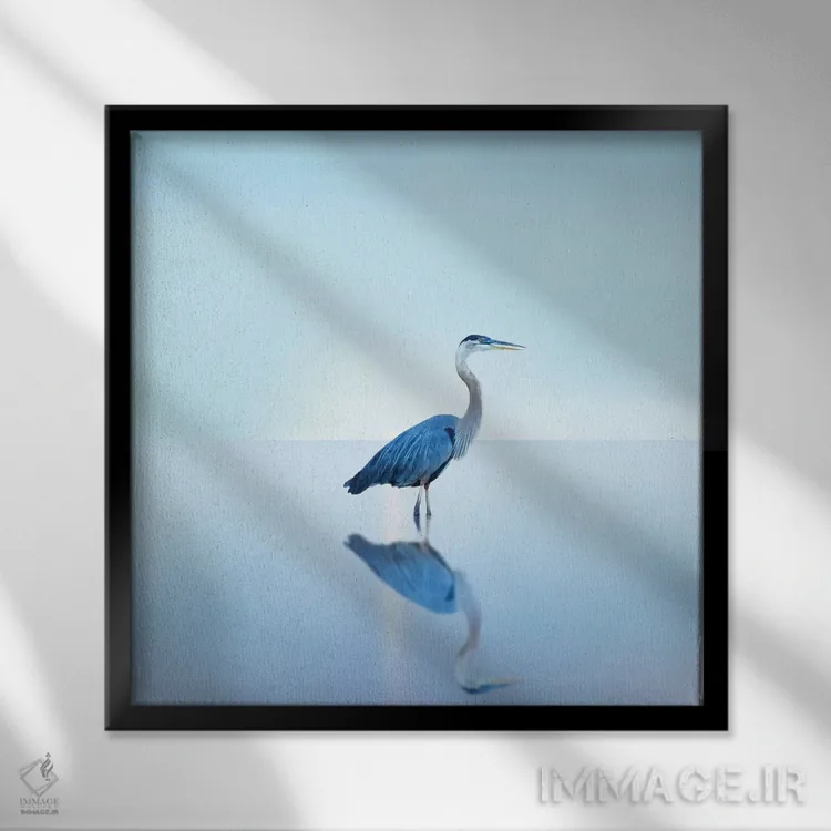 تابلو دکوراتیو منظره ساحلی با مرغ ماهی خوار II اثر جیمز مک لافلین - نمای قابدار مشکی