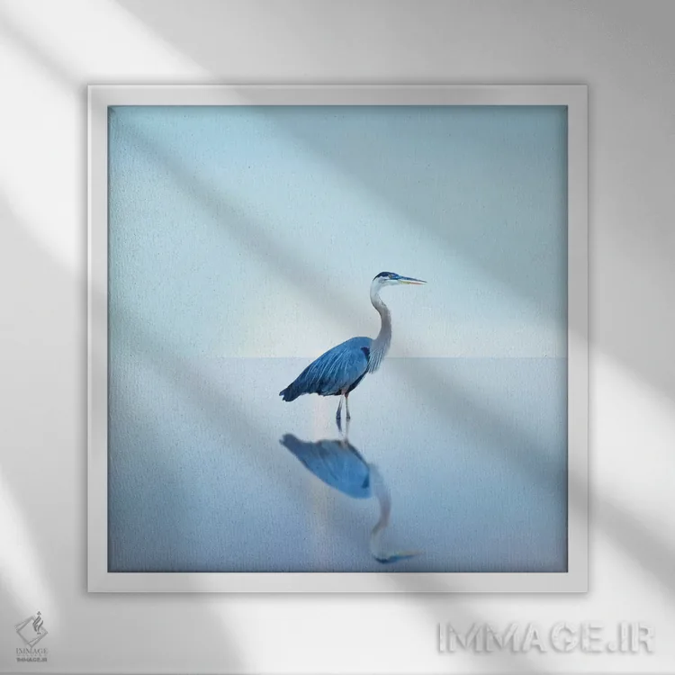 تابلو دکوراتیو منظره ساحلی با مرغ ماهی خوار II اثر جیمز مک لافلین - نمای قابدار سفید