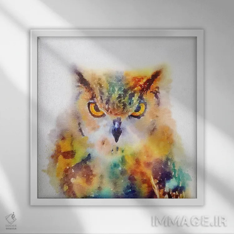 تابلو دکوراتیو دانا اثر ژاکلین مالدونادو - نمای قابدار سفید