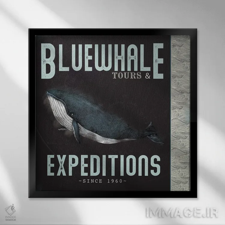 تابلو دکوراتیو تورهای نهنگ آبی اثر JMB دیزاین - نمای قابدار مشکی