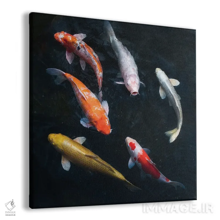 تابلو دکوراتیو کوی های رنگارنگ در حوض باغ اثر یان بکه - نمای پرسپکتیو محصول