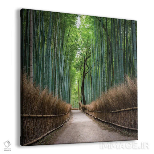 تابلو دکوراتیو Kyoto, Japan,جنگل بامبو آراشی یاما، کیوتو، ژاپن اثر یان بکه - نمای پرسپکتیو محصول