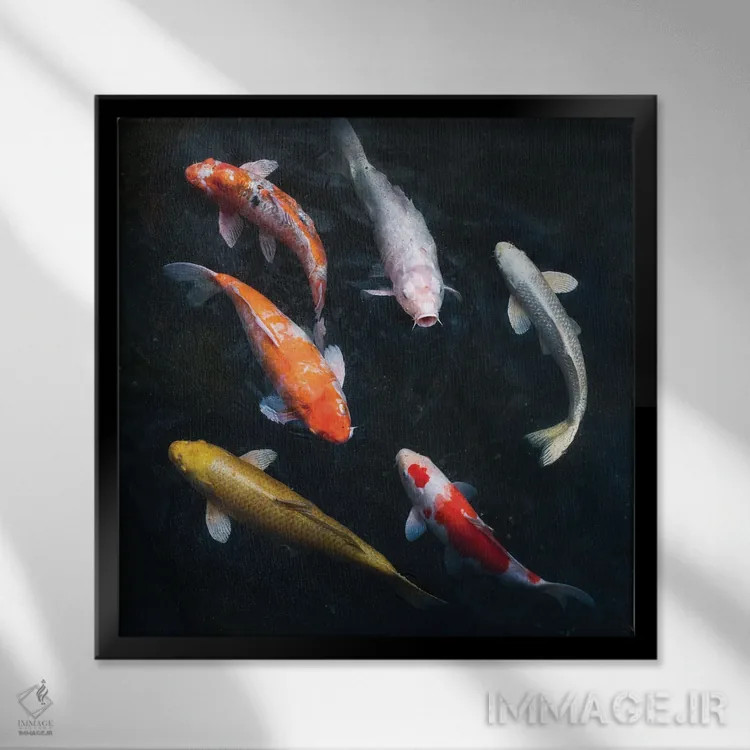 تابلو دکوراتیو کوی های رنگارنگ در حوض باغ اثر یان بکه - نمای قابدار مشکی