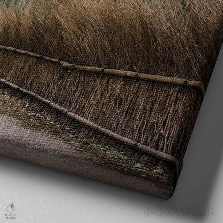 تابلو دکوراتیو Kyoto, Japan,جنگل بامبو آراشی یاما، کیوتو، ژاپن اثر یان بکه - نمای نزدیک بافت بوم