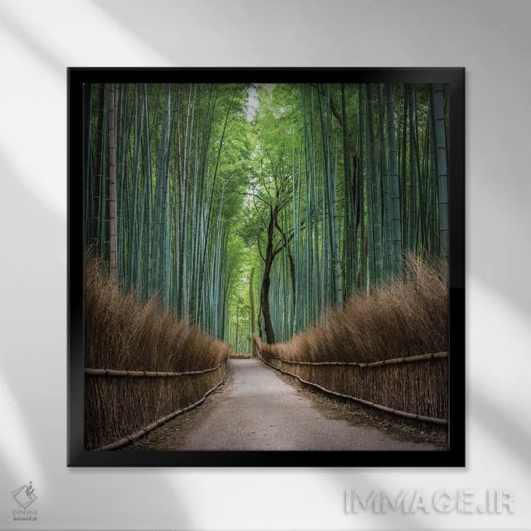 تابلو دکوراتیو Kyoto, Japan,جنگل بامبو آراشی یاما، کیوتو، ژاپن اثر یان بکه - نمای قابدار مشکی