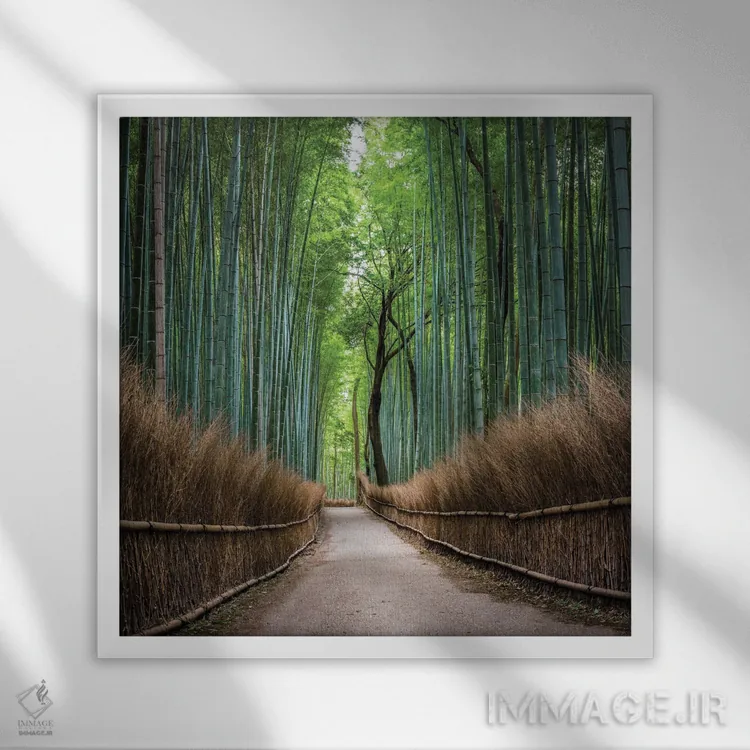 تابلو دکوراتیو Kyoto, Japan,جنگل بامبو آراشی یاما، کیوتو، ژاپن اثر یان بکه - نمای قابدار سفید