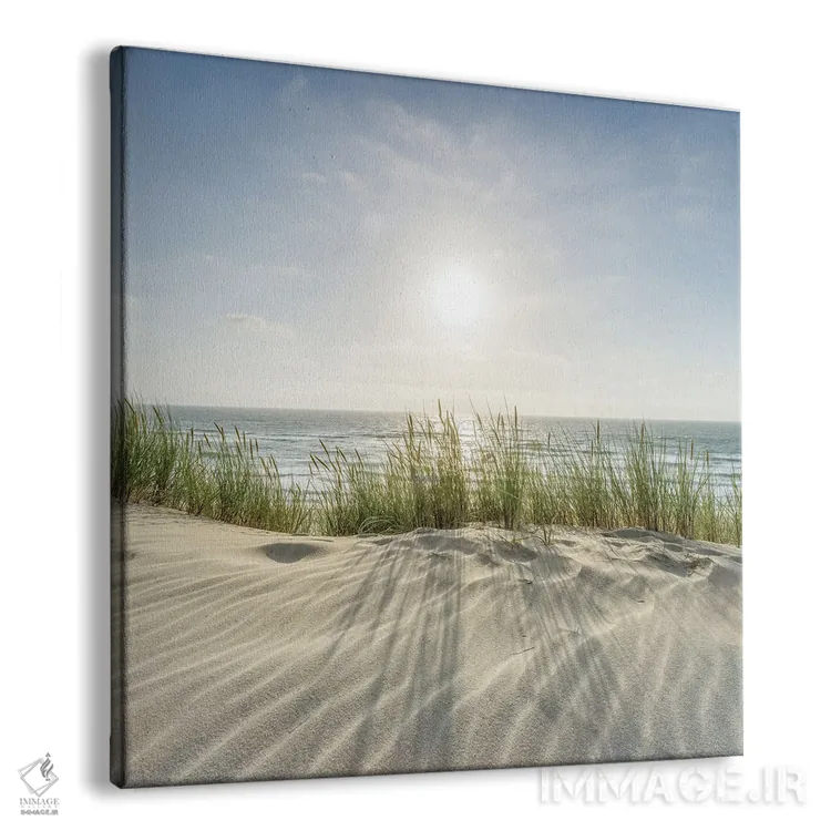 تابلو دکوراتیو ساحل تپه شنی در یک روز آفتابی اثر یان بکه - نمای پرسپکتیو محصول