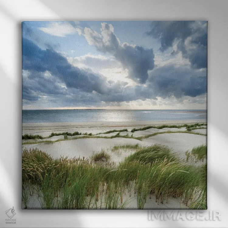 تابلو دکوراتیو ساحل تپه شنی در یک روز طوفانی اثر یان بکه - نمای روبهرو روی دیوار