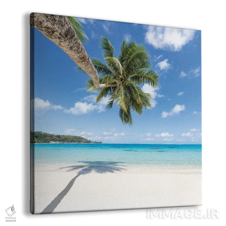 تابلو دکوراتیو Bora Bora, French Polynesia,درخت نخل آویزان بر ساحل، بورا بورا… اثر یان بکه - نمای پرسپکتیو محصول