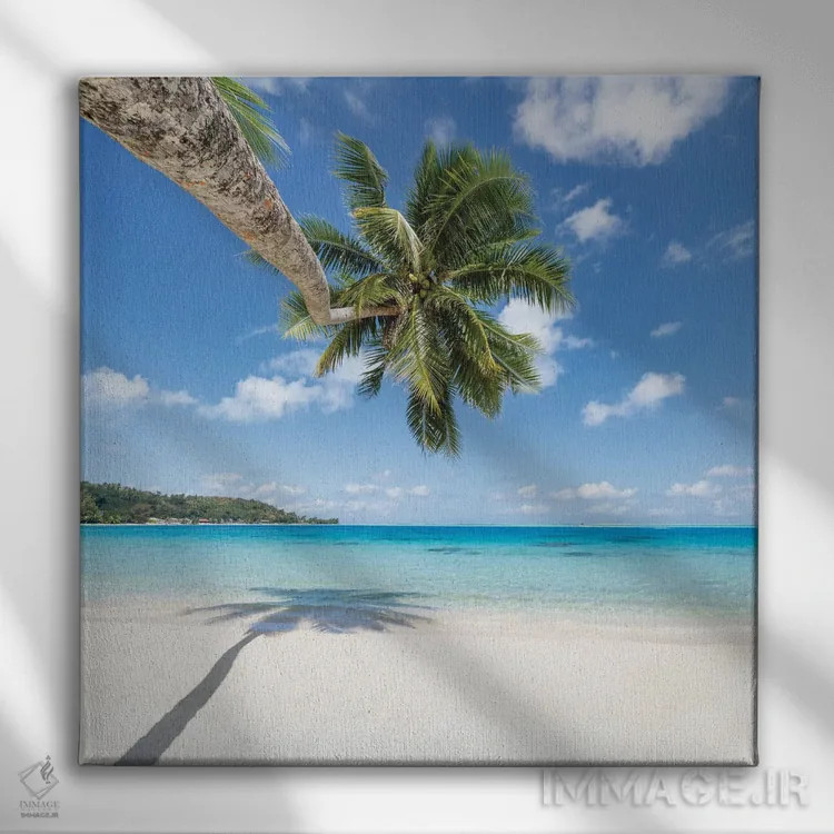 تابلو دکوراتیو Bora Bora, French Polynesia,درخت نخل آویزان بر ساحل، بورا بورا… اثر یان بکه - نمای روبهرو روی دیوار