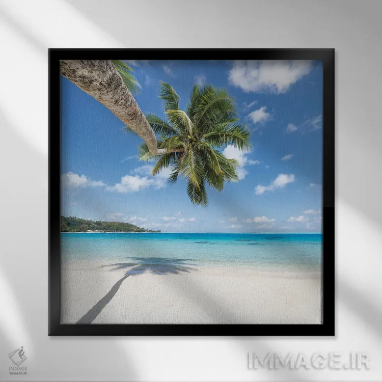 تابلو دکوراتیو Bora Bora, French Polynesia,درخت نخل آویزان بر ساحل، بورا بورا… اثر یان بکه - نمای قابدار مشکی