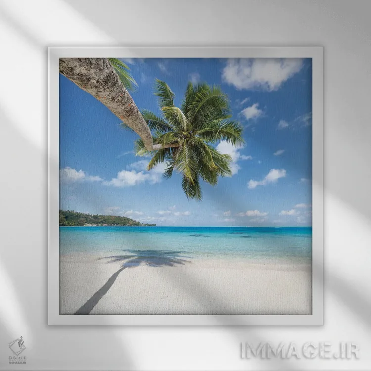 تابلو دکوراتیو Bora Bora, French Polynesia,درخت نخل آویزان بر ساحل، بورا بورا… اثر یان بکه - نمای قابدار سفید
