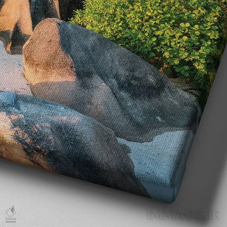 تابلو دکوراتیو La Digue, Seychelles,ساحل استوایی آنس سورس دارژان، لا دیگو، سیش… اثر یان بکه - نمای نزدیک بافت بوم