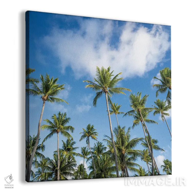 تابلو دکوراتیو درختان نخل در روزی آفتابی اثر یان بکه - نمای پرسپکتیو محصول